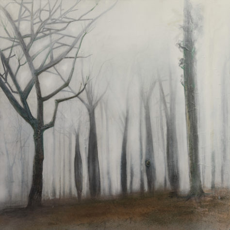Misty Trees by Julie Oldfield