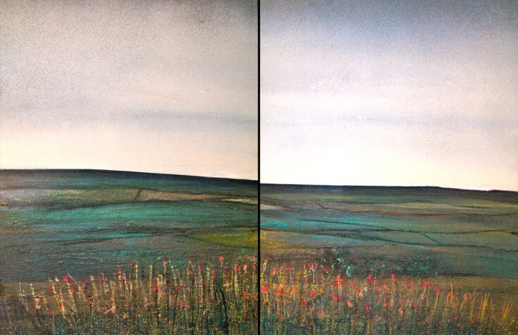 Dartmoor Duo #2 by Julie Oldfield